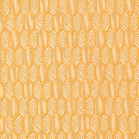 Honeycomb/Buzz - Quilter's Cotton Fabric by the Yard - Tropical Garden Collection by Sue Gibbins