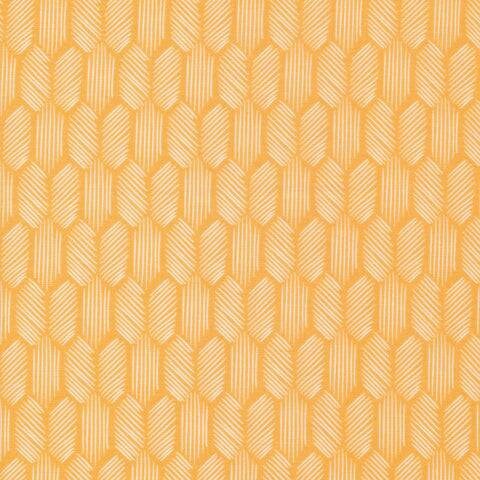 Honeycomb/Buzz - Quilter's Cotton Fabric by the Yard - Tropical Garden Collection by Sue Gibbins